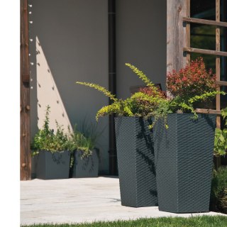 LAMELA Donica FINEZJA 250x250 rattan - grafit metalik