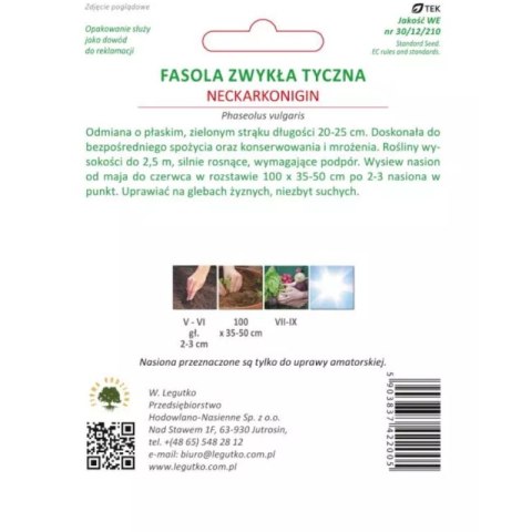 Fasola szparagowa tyczna 'Neckarkönigin' (Hilds Neckarkönigin) - zielonostrąkowa, śr. wczesna