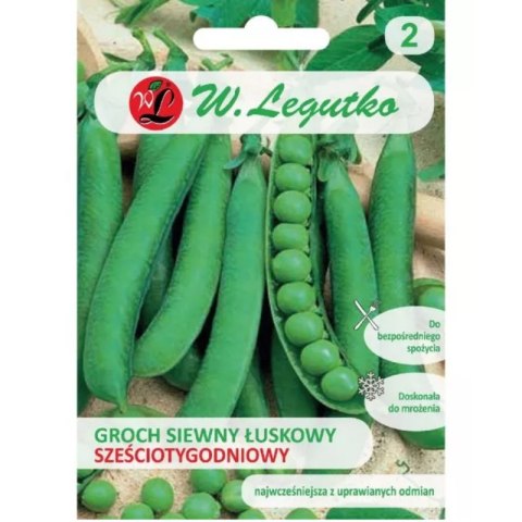 W.Legutko - ``` Groch siewny 'Sześciotygodniowy' - wczesny, gładkonasienny