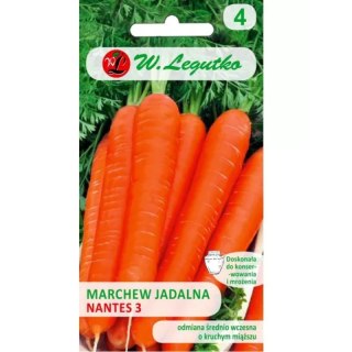 Marchew jadalna 'Nantes 3' (Nantejska) - odmiana średnio wczesna