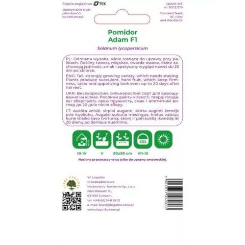 Pomidor gruntowy wysoki Adam F1 -