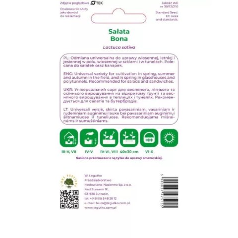 Sałata głowiasta masłowa 'Bona' - odmiana wczesna, żółtawozielona