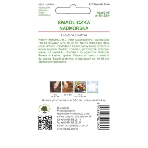 W.Legutko Smagliczka nadmorska - odmiana biała
