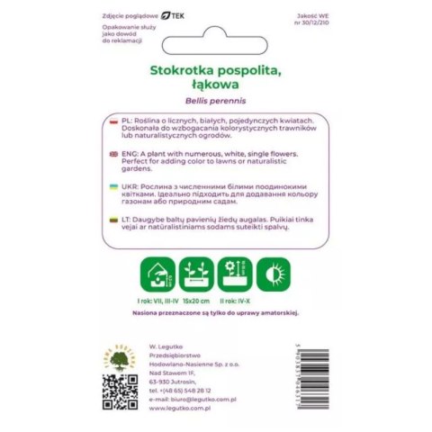 W.Legutko Stokrotka pospolita łąkowa biała - nasiona