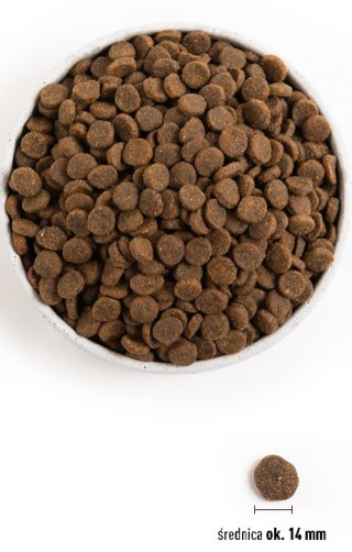Acana Singles Yorkshire Pork 6kg sucha karma premiumdla psa