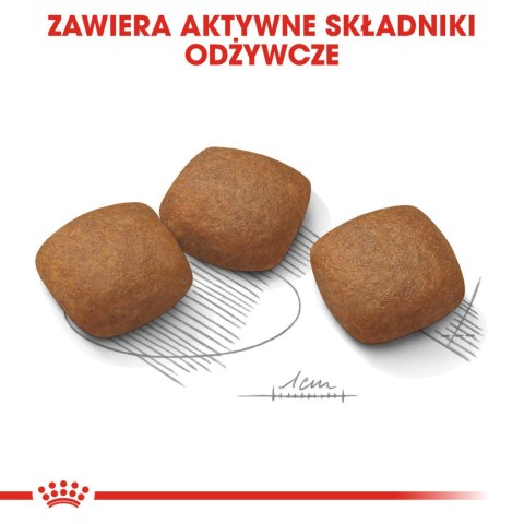 ROYAL CANIN CCN Maxi Joint Care 10kg