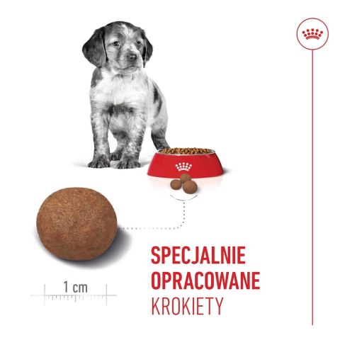 ROYAL CANIN Medium Puppy 1kg