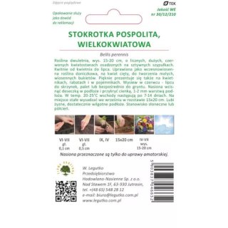 W.Legutko Stokrotka pospolita wielkokwiatowa 'Gracja' czerwona