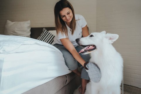 Hunter Grooming Szczotka Rękawica Dla Psa I Kota