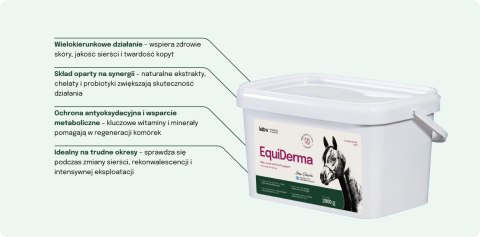 Lab-v EquiDerma Mieszanka paszowa uzupełniająca dla koni i kucyków wspierająca kondycję skóry, sierści i kopyt 2000g