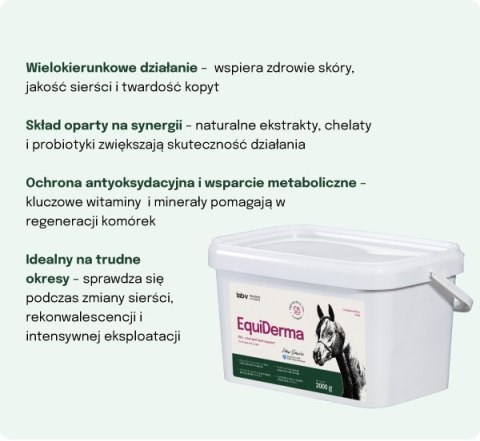 Lab-v EquiDerma Mieszanka paszowa uzupełniająca dla koni i kucyków wspierająca kondycję skóry, sierści i kopyt 2000g
