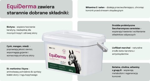 Lab-v EquiDerma Mieszanka paszowa uzupełniająca dla koni i kucyków wspierająca kondycję skóry, sierści i kopyt 2000g