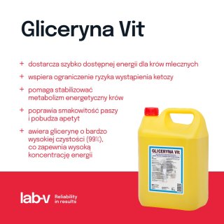 Lab-v Gliceryna Vit - Mieszanka Paszowa Uzupełniająca Dla Krów Mlecznych Zmniejszająca Ryzyko Wystąpienia Ketozy 20kg