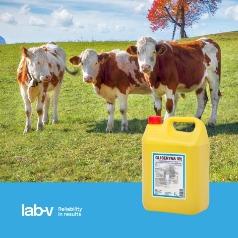 Lab-v Gliceryna Vit - Mieszanka Paszowa Uzupełniająca Dla Krów Mlecznych Zmniejszająca Ryzyko Wystąpienia Ketozy 20kg