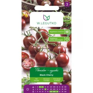 Pomidor gruntowy wysoki 'Black Cherry' - owoce cherry, purpurowo-brązowe