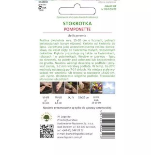 Stokrotka pospolita 'Pomponette' różowa