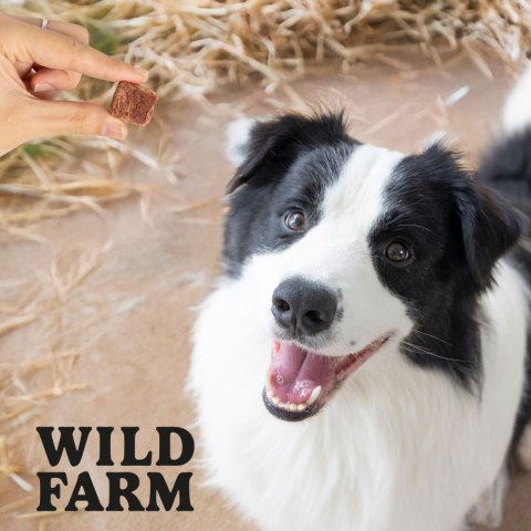 WILD FARM Kostki Z Jagnięciny I Dorsza Miękkie Przysmak Dla Psa 500G