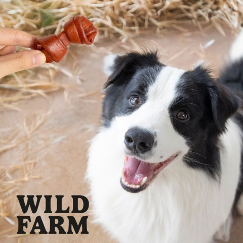 WILD FARM Miękkie Kostki Z Jagnięciny Przysmak Dla Psa 500G