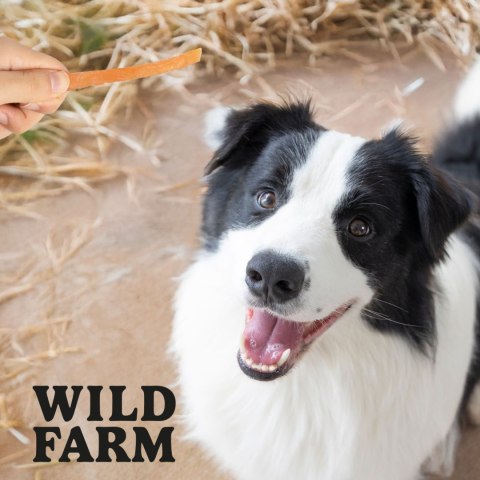 WILD FARM Miękkie Stripsy Z Kurczaka Przysmak Dla Psa 500G