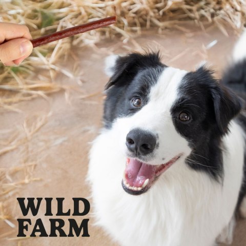 WILD FARM Paluszki Z Wołowiny Przysmak Dla Psa 500G