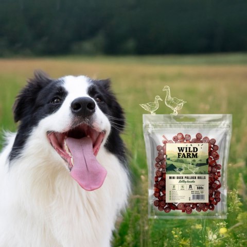 WILD FARM Rollsy Z Kaczki Przysmak Dla Psa 500G