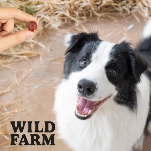 WILD FARM Rollsy Z Kaczki Przysmak Dla Psa 500G