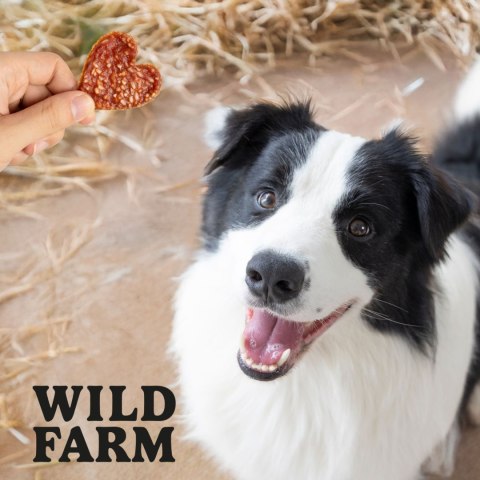 WILD FARM Serduszka Z Kaczką I Ryżem Przysmak Dla Psa 500G