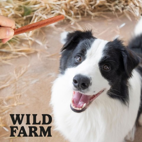 WILD FARM Stripsy Z Królika Przysmak Dla Psa 500G