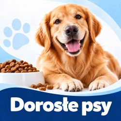 Karma sucha dla dorosłych psów