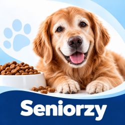 Karma sucha dla psów seniorów