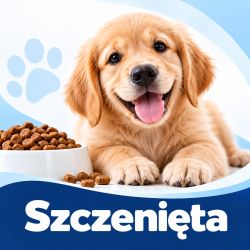 Karma sucha dla szczeniąt